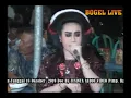 Download Lagu Live Tayuban AG  Fuul Ds. Plandi rejo Kc. Plumpang Tuban