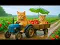 Download Lagu Mama Cat Falls into the River While Harvests Tomatoes, Brave Kitten Finds Help from Gentle Bear 🐾🐱🐻