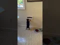 The mailman totally slow played that one! Hahaha!