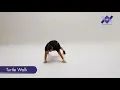 Turtle Walk