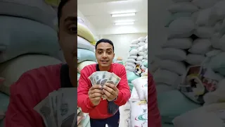 عرض 500 غاوي السلاكة Pigeon  عرض 500 غاوي السلاكة Pigeon