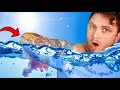 Download Lagu How Soon Can YOU Swim AFTER Getting A NEW TATTOO?