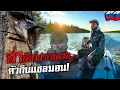 Download Lagu โคตรเดือด! ไล่ล่าสัตว์ประหลาดแห่งแม่น้ำกว้างขวางรัสเซีย