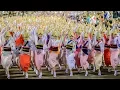Download Lagu Awesome! The Grand Dance of Awaodori in Tokushima Japan!  | A most famous Japanese traditional dance
