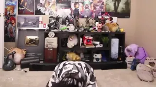 Sssniperwolf bends over loop