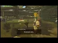 BotW Diaries Journals a Memoir