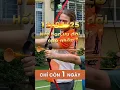 Download Lagu Ngày Cuối Cùng Nhận Ưu Đãi Cao Nhất | Hè Trưởng Thành 2025 | Xanh Tuệ Đức #reels