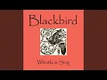 Download Lagu Burung Kolibri