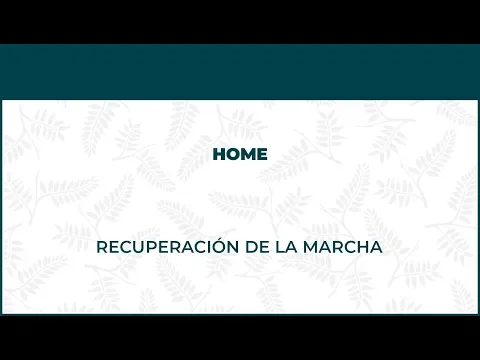 Recuperación de la Marcha. Fisioterapia A Domicilio - FisioClinics Bilbao, Bilbo