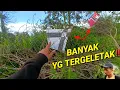 Download Lagu TIDAK ADA ORANG YG TAU BANYAK LAYANGAN TERGELETAK DI HUTAN INI !