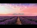James Arthur & Lost Frequencies - Questions (traducere în română)