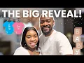 Download Lagu Our First Pregnancy Scan + Surprise Gender Reveal | The Baby Show