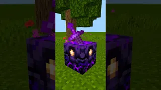 Minecraft TikTok Build Hack