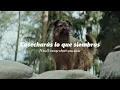 IMMINENCE - Shed Your Skin (sub. español + Lyrics)