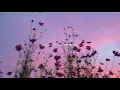Download Lagu BTS - Lights (slowed down)༄