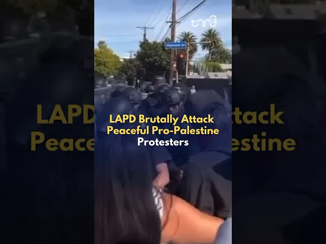 The LAPD aggressively attack individuals peacefully protesting for Palestine outside of the Oscars.