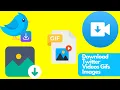 Twitter To mp4 - How it works como baixar do twitter