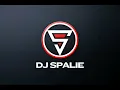 Download Lagu DJ Spalie Radio KC 107.7fm Commercial Set