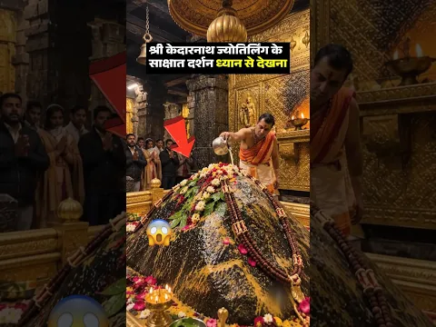 दर्शन श्री केदारनाथ ज्योतिर्लिंग 🔱😲ध्यान से देखना #Kedarnath #shortsfeed #mahadev #viral