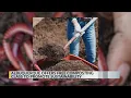 City of Albuquerque offering free composting class