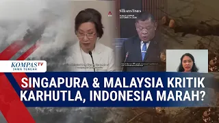 Singapura & Malaysia Kritik Karhutla, Indonesia Marah? Pengamat Internasional Jelaskan Efeknya