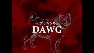 DAWG - Evangelion like opening