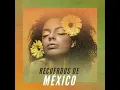 Doce rosas