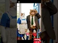 Download Lagu The Case of the Missing Nap \u0026 The Inspector's Glare\\! #babbycat #petsrule #cuteanimal #cat #funny #