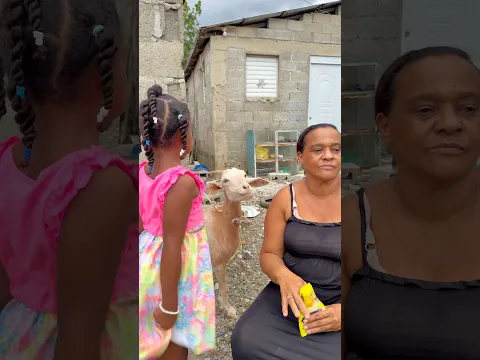 ¡La chivita se robó el show y las golosinas! 🐐😂