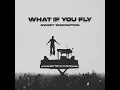 BUNT/The Temper Trap - What If You Fly (Sweet Disposition)