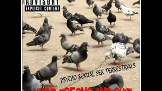 PSST Psycho Sexual Sex Terrestrials - Just Pigeons Shit Full Album