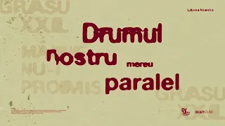 Grasu XXL - Iubirea Noastra - Descarcă MP3
