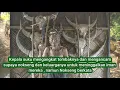 Download Lagu Cerita Dibalik Lagu \