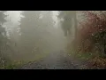 SILENT HILL 2 soundtrack - White Noiz