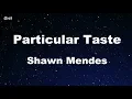 Particular Taste - Shawn Mendes Karaoke No Guide Melody Instrumental