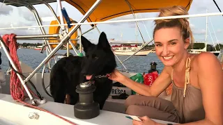 Questions Answered | SMLS S6E17