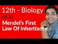FSc Biology Book 2 Mendel s 1st Law of Inheritance-Ch 22 Variation Genetics - 12th Class Biology