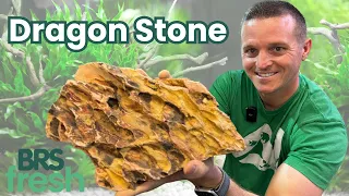 guide to aquascaping with dragon stone