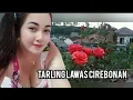 Lagu TARLING LAWAS CIREBONAN TEMBANG PALING HITS MAKIN ASYIK