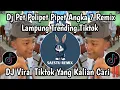 Lagu DJ PET POLIPET PIPET ANGKA 7 REMIX LAMPUNG VIRAL TIKTOK | DJ PET POLIPET X GARAM CINA TREND TIKTOK 