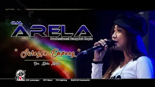 Download Juragan Empang - Della Adelia MP3