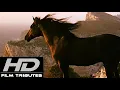Download Lagu The Black Stallion • Soundtrack Suite • Carmine Coppola