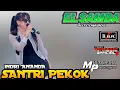 Download Lagu SANTRI PEKOK // INDRI ANANDA // ELSAMBA LIVE DUKUH COVER DANGDUT KOPLO JARANAN TERBARU 2024