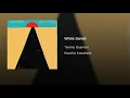 White Sands - Tommy Guerrero