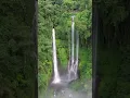 Download Lagu Discovering the Hidden Gem of Bali: Sekumpul Waterfall #shorts #sekumpulwaterfall #sekumpul