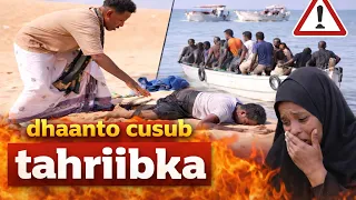 dhaanto tahriibka abwaan nuur 2026 erayada laxanka codka abwaan nuur music cabdi abiib 