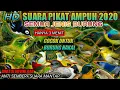 Download Lagu Mp3 KHUSUS PARA ZONK'ERS•DIJAMIN AUTO LENGKET