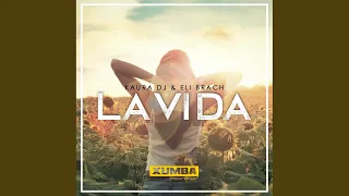la vida original mix 
