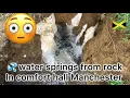 Water springs from rock in comfort hall Manchester latest update must watch 📺