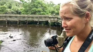 Alligator Eats Bird and Exploring St. Augustine!